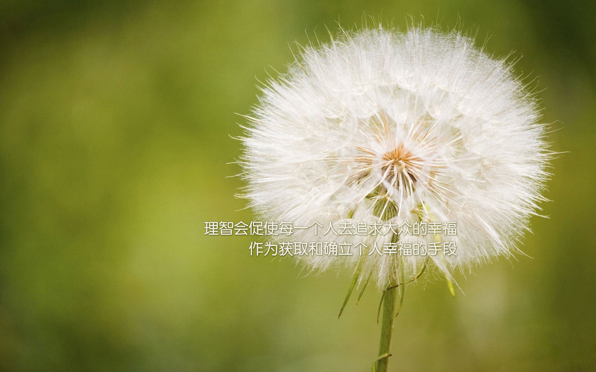 开云体育中国官网-中国青少年篮球赛事标准化待推进，行业发展迎来新机遇，2020年全国青少年篮球比赛有哪些