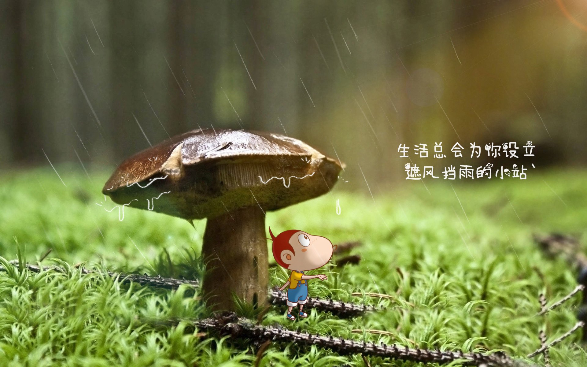 开云官网登录-英超焦点战，平局收场关键数据分析，比分2-2，英超收官战