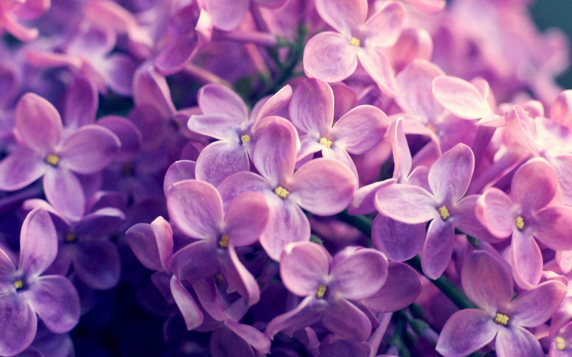 哥伦比亚马术协会举办马匹护理培训班，提高骑手护理技能。，哥伦比亚马拉松