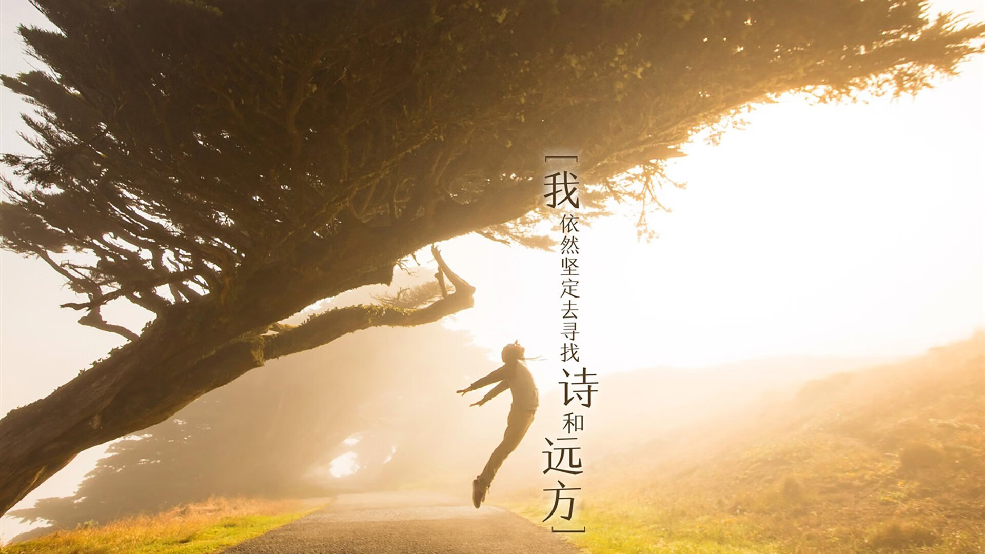 开云中国大陆-尤文图斯惨遭出局，欧冠征程终结，尤文图斯欧冠比赛时间