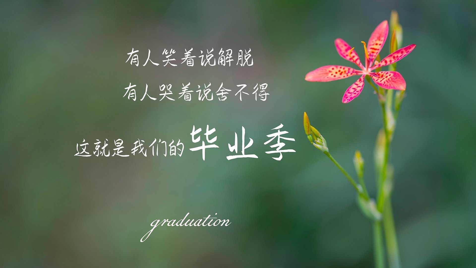 国际乒联公布2024年混合团体世界杯全新赛制，24届乒乓球世界杯