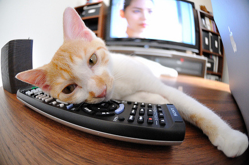 kaiyun登录入口-女子足球鼓励球员自建个人IP拓展职业维度，足球自创球员