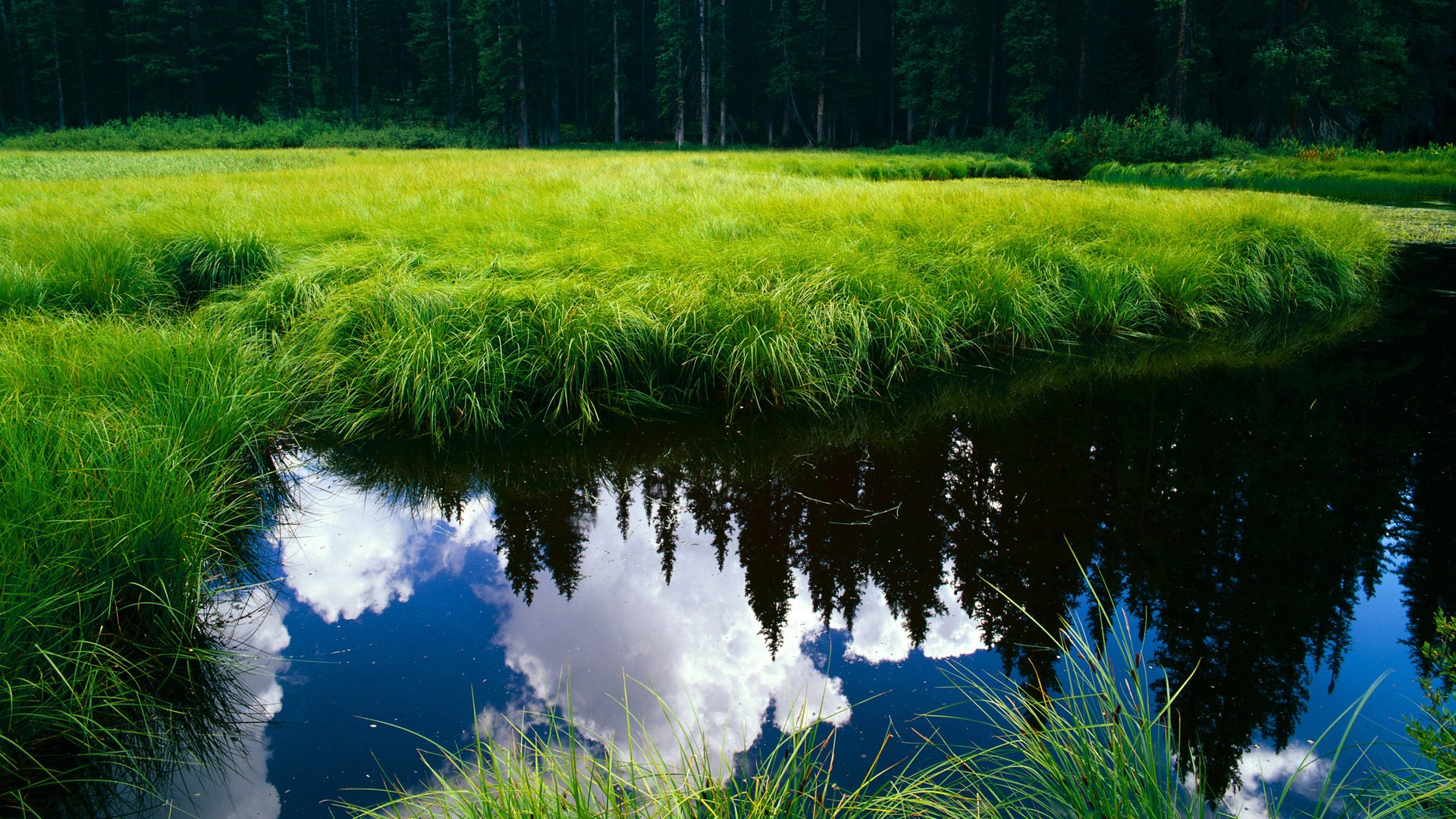 开云·体育官网APP下载-特色足球主题公园在多个城市落成，成为旅游新亮点，足球公园要门票吗