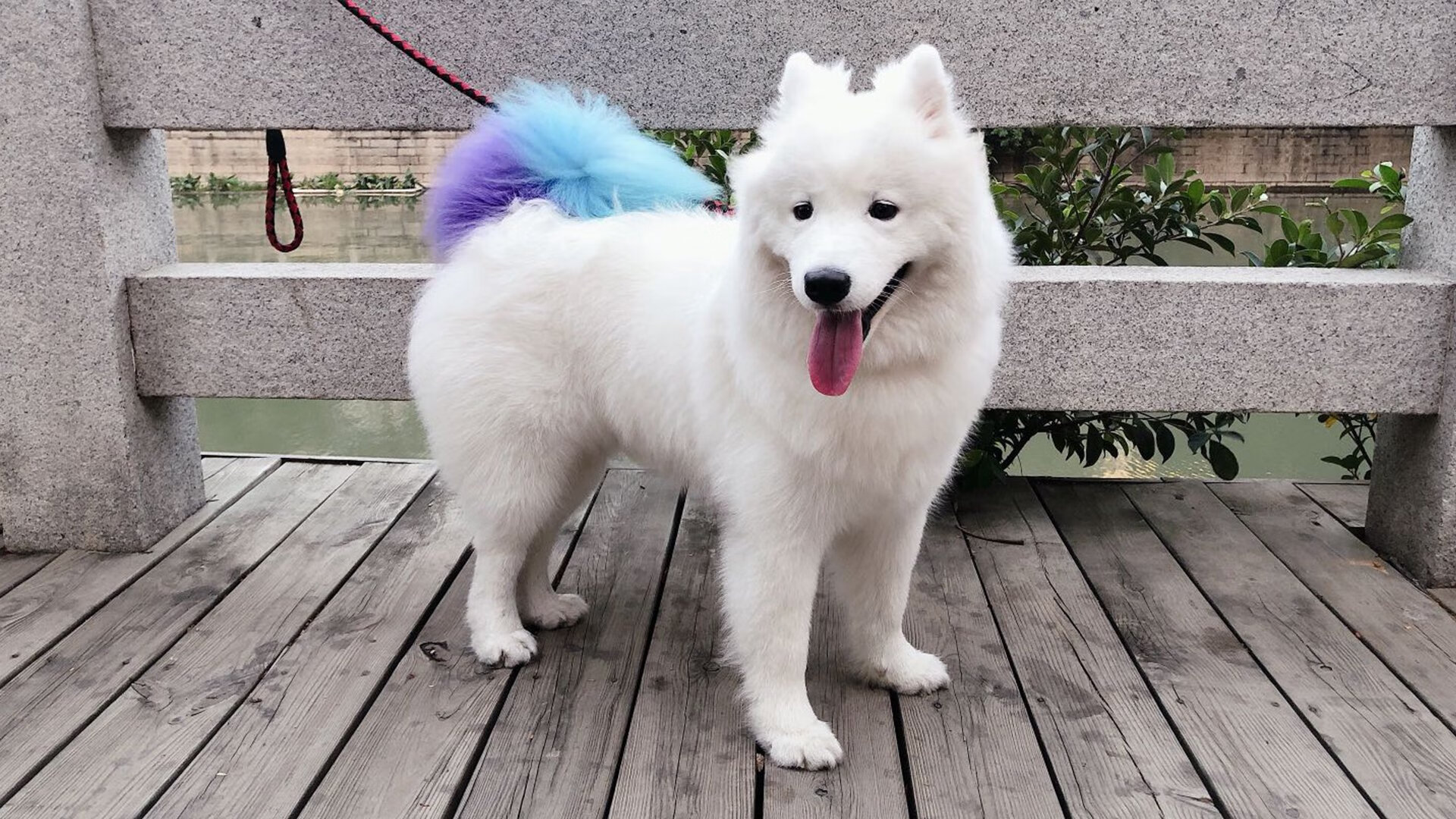 kaiyun登录入口-福特：凭借坚实的防守与细腻的传球技巧，成为全黑队的战术支柱