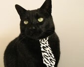 美洲杯明星盛会：突破、突破、再突破！，美洲杯明星球员