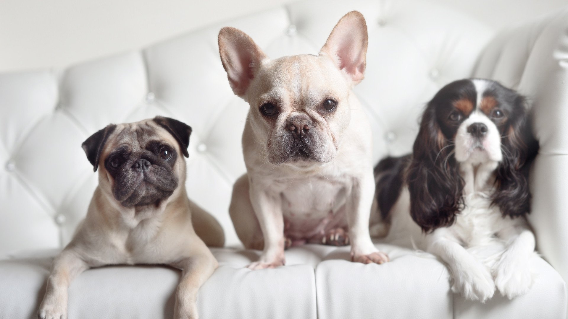 Kaiyun APP-老鹰主场连胜状态持续火热，老鹰队主力