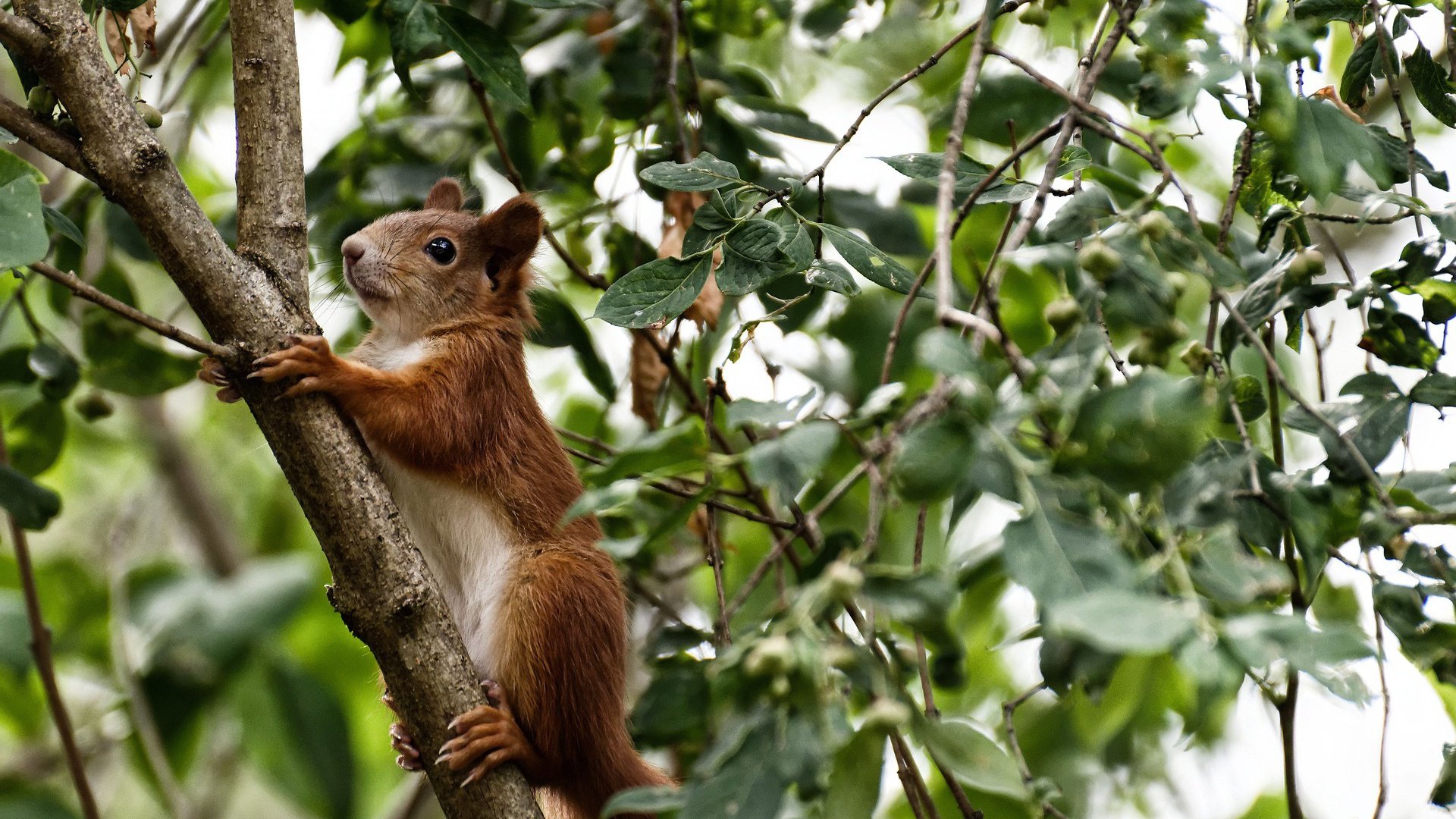 kaiyun 开云体育-赛后休息安排合理全队迅速恢复为下场比赛积蓄能量，赛后工作安排