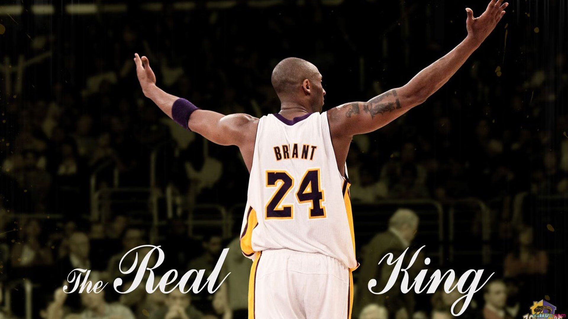 开云体育官方下载-特色社区篮球联盟成立，促进邻里互动与全民健身，篮球社区活动方案